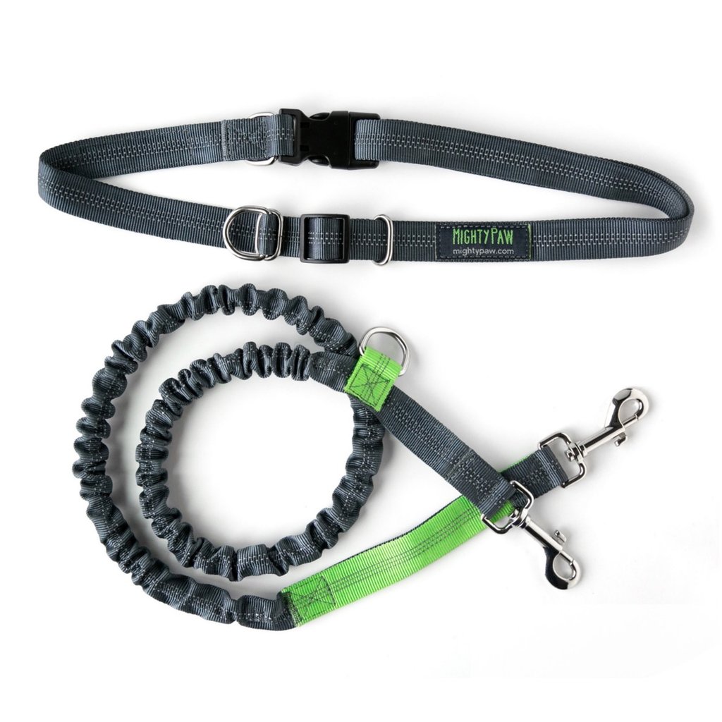Mighty Paw Hands Free Bungee Leash Set